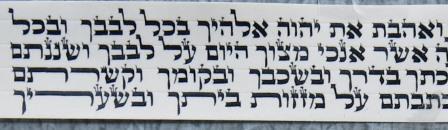 %d7%91%d7%a8%d7%91%d7%99-%d7%a1%d7%a4%d7%a8%d7%93-%d7%a2%d7%95%d7%aa%d7%a7