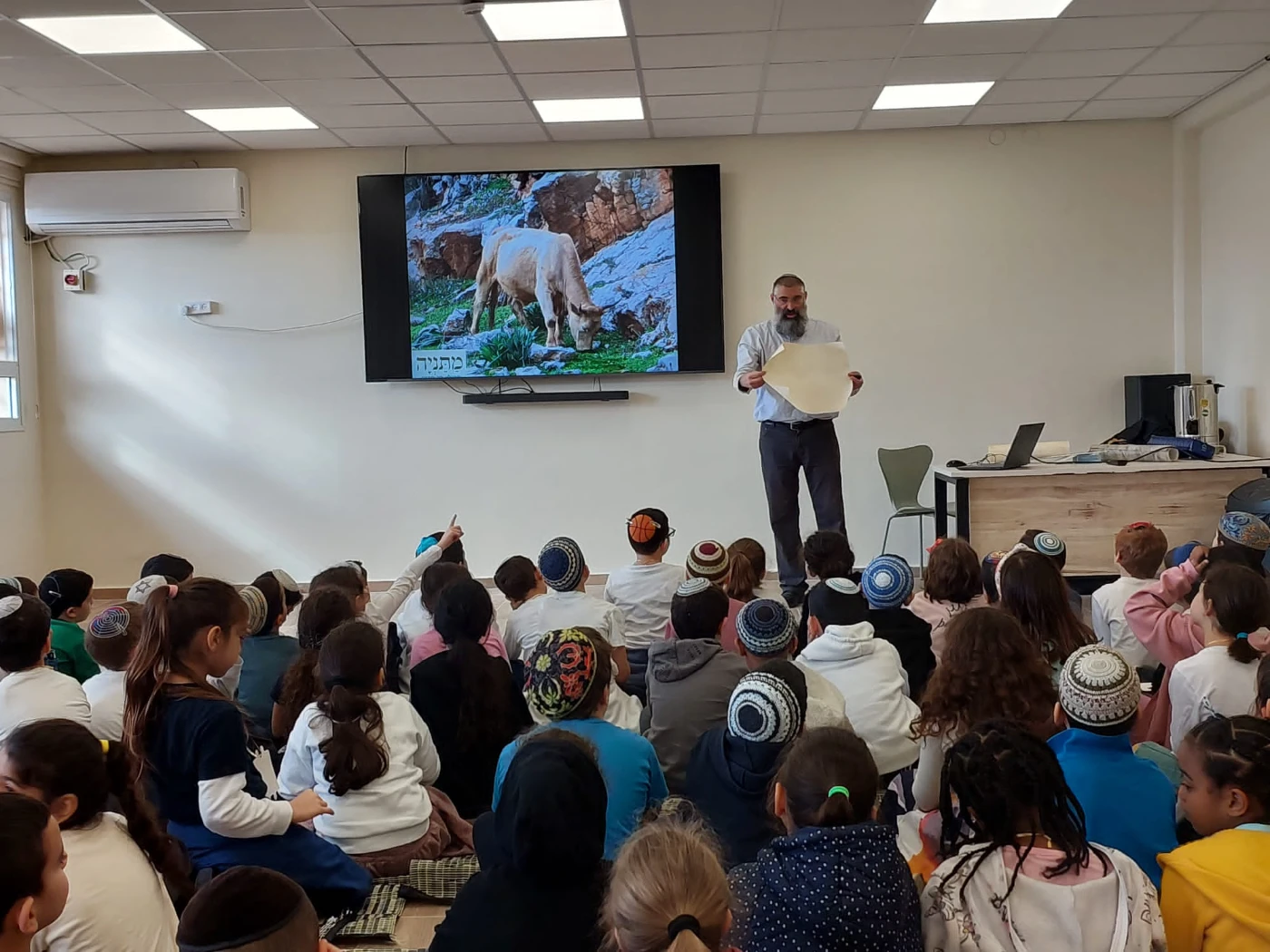 WhatsApp Image 2024-02-19 at 13.19.14 (1)