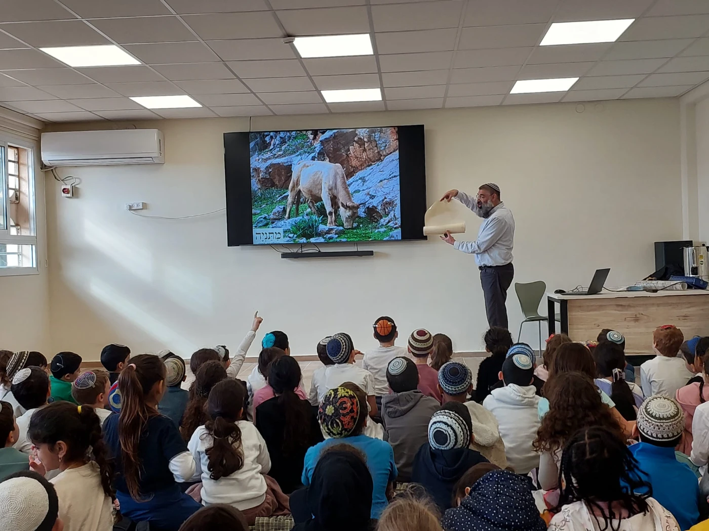 WhatsApp Image 2024-02-19 at 13.19.14 (2)